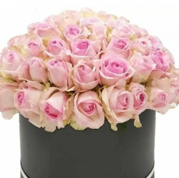 Букет из 51 розовой розы в коробке